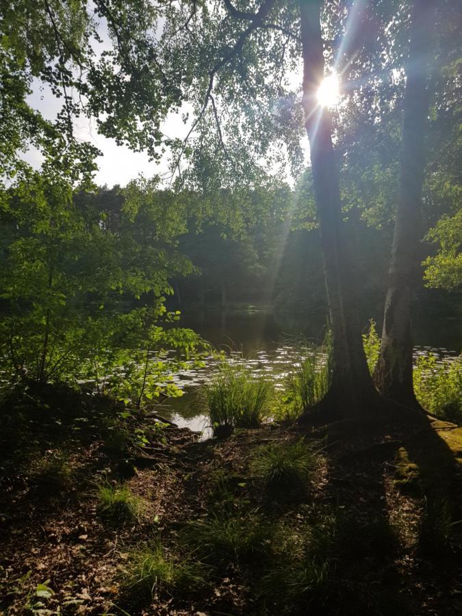 Gemuetliches Ferienhaus In Seenaehe Sewekow Exteriör bild
